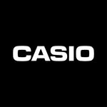 Casio casiol